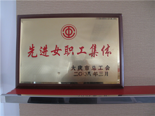 2008年女職工先進集體.jpg